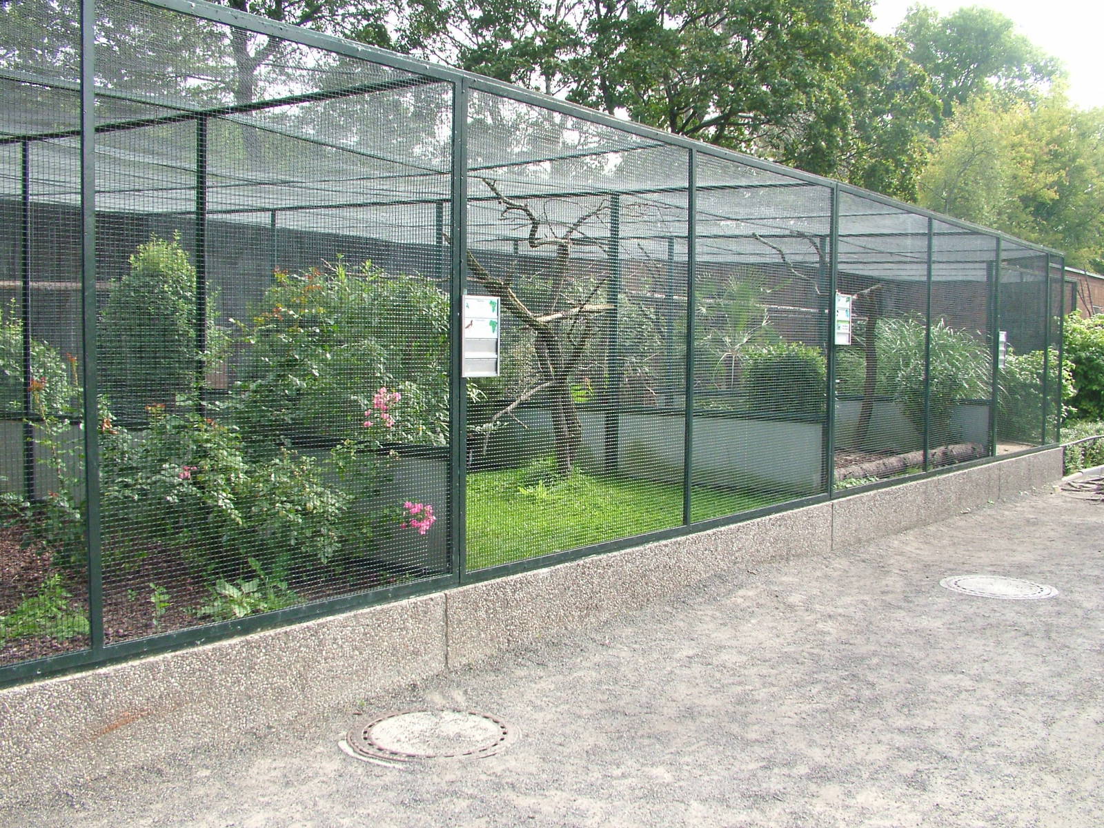 Pheasantry Aviaries at Berlin, 31/08/11