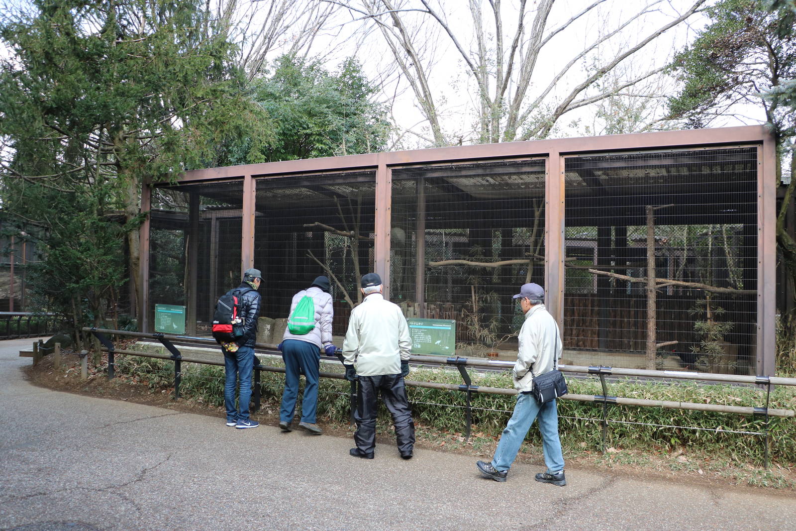 Pheasantry, February 2016