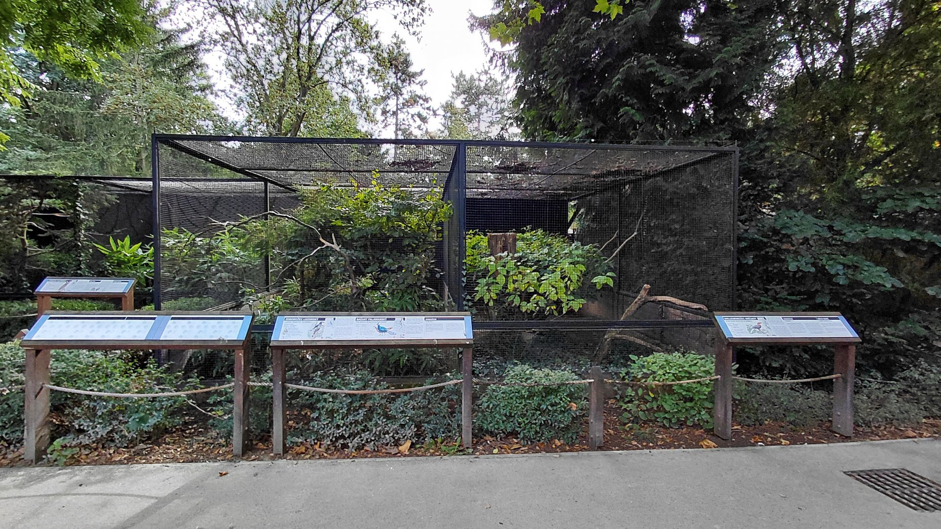 Pheasantry - Hornbill exhibits