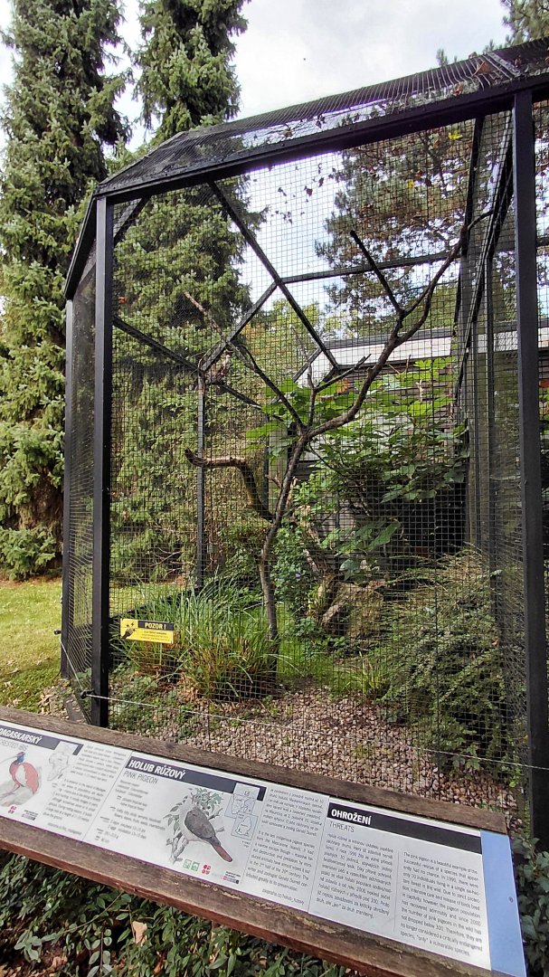 Pheasantry - Ibis exhibit