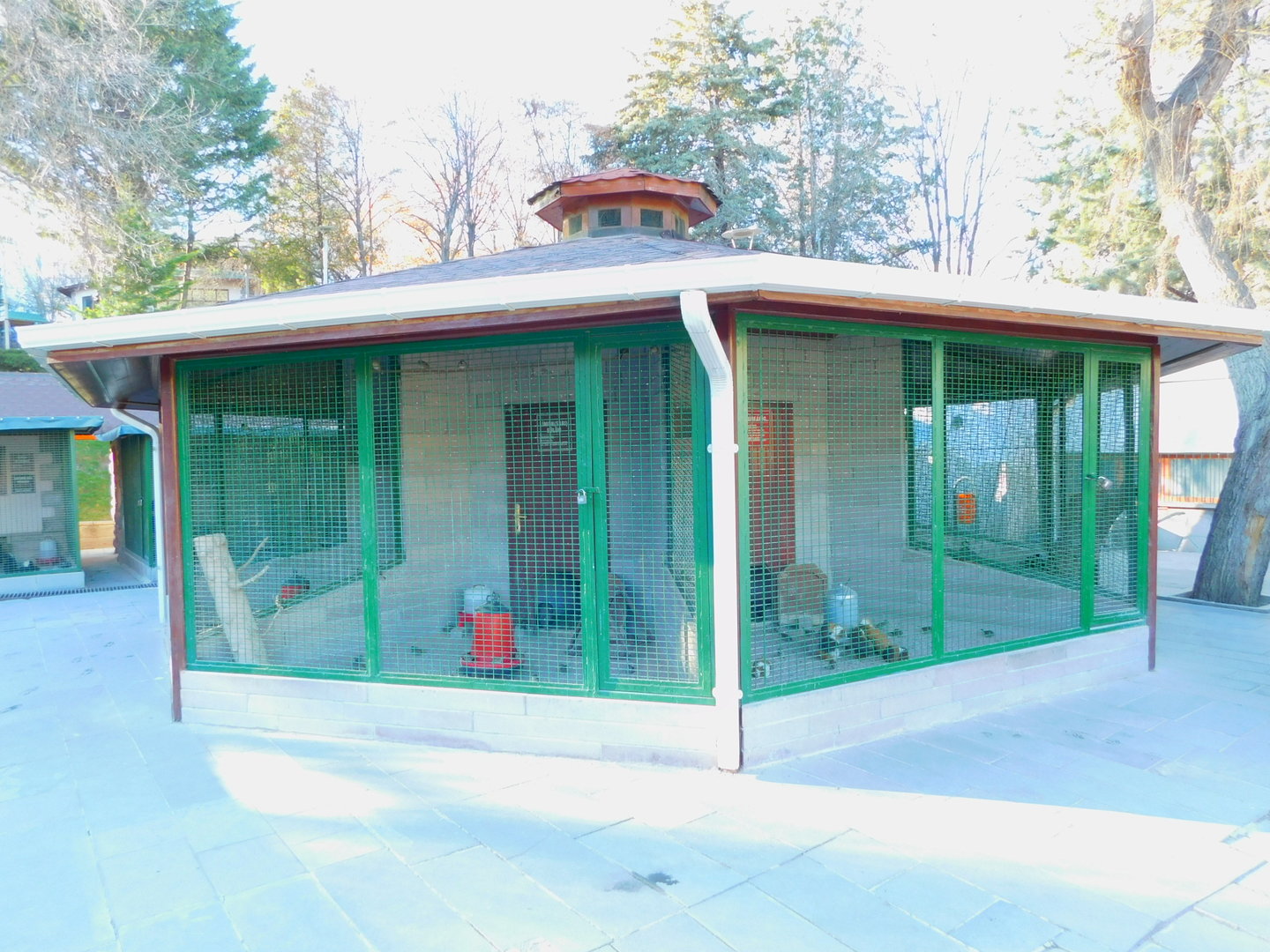 Pheasantry in the Ankara Domestic Animal Park