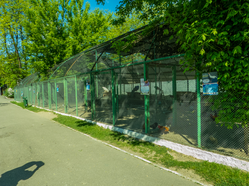 pheasantry incl. chicken