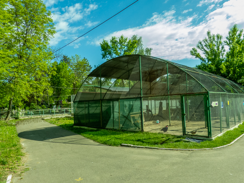 pheasantry incl. chicken