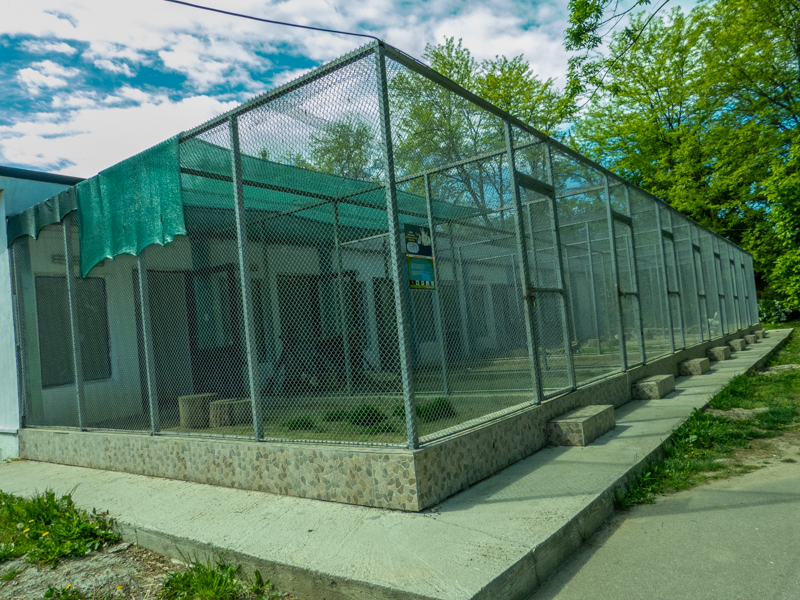 pheasantry incl. chicken