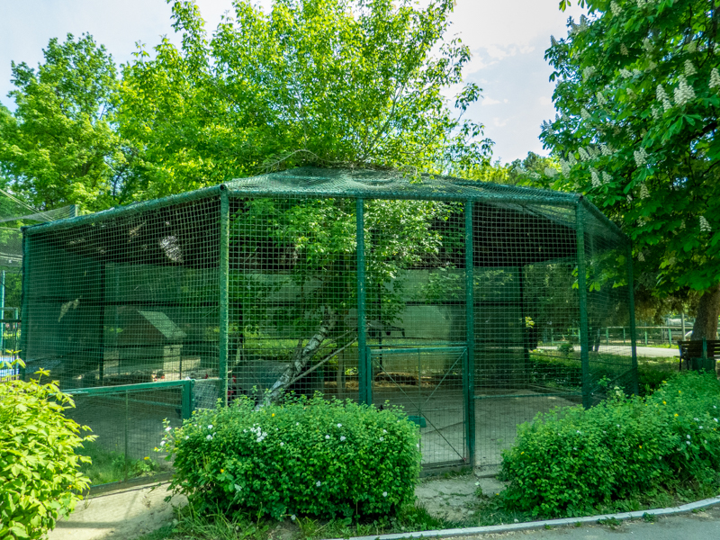 pheasantry incl. chicken