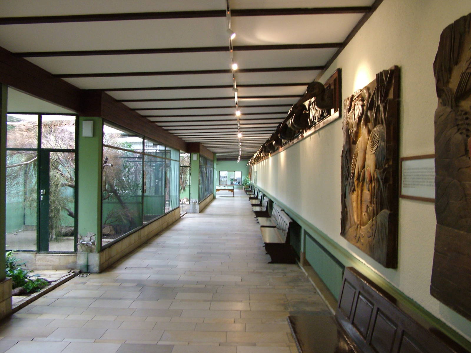 Pheasantry Interior at Berlin Zoo, 31/08/11