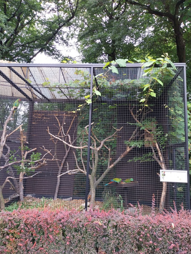 Pheasantry - Military macaw aviary