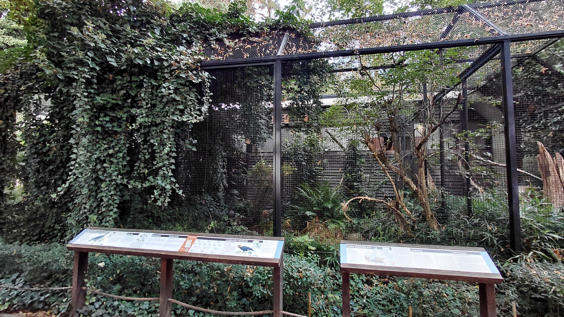 Pheasantry - Mixed aviary