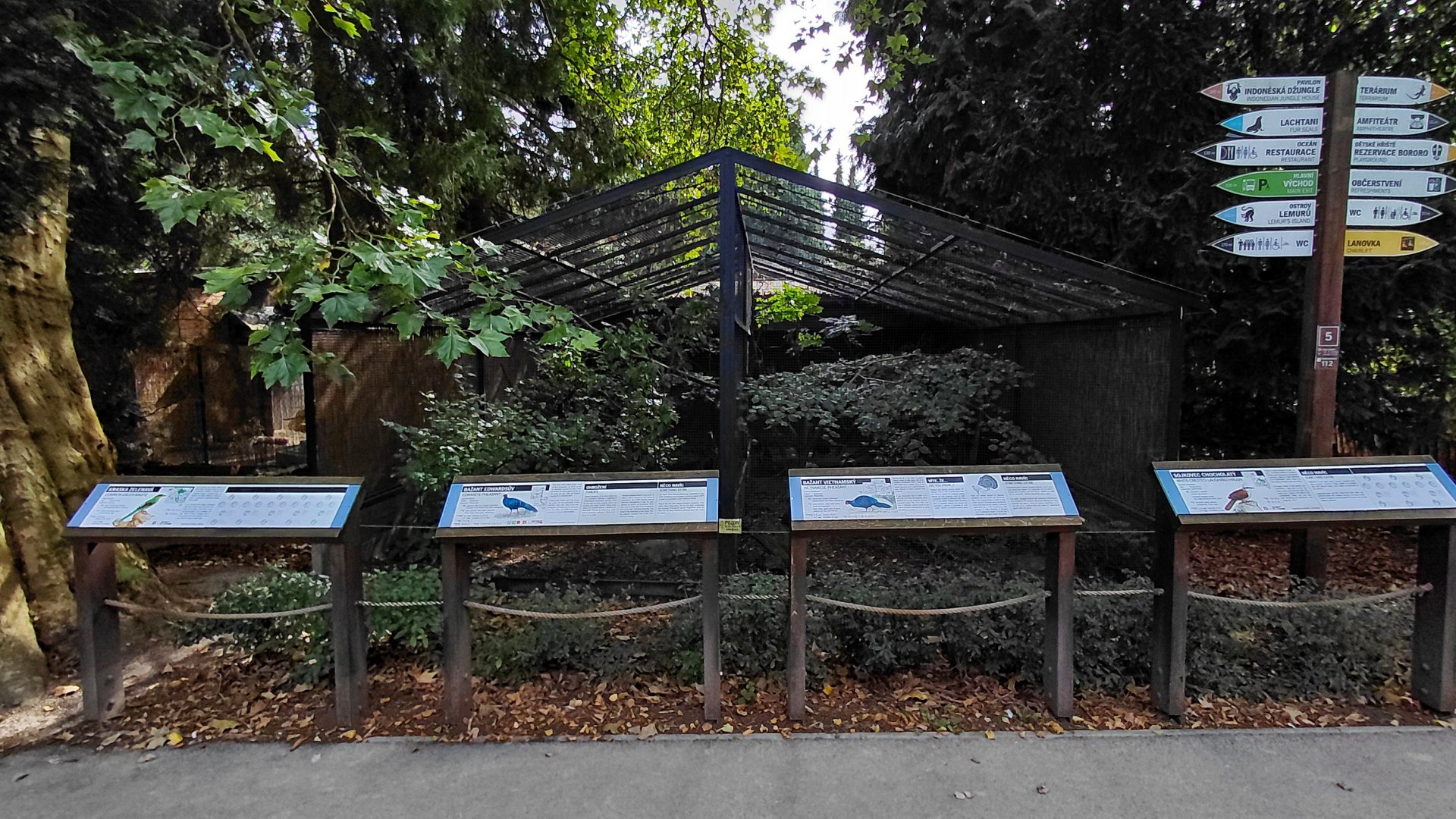 Pheasantry - Pheasant exhibits