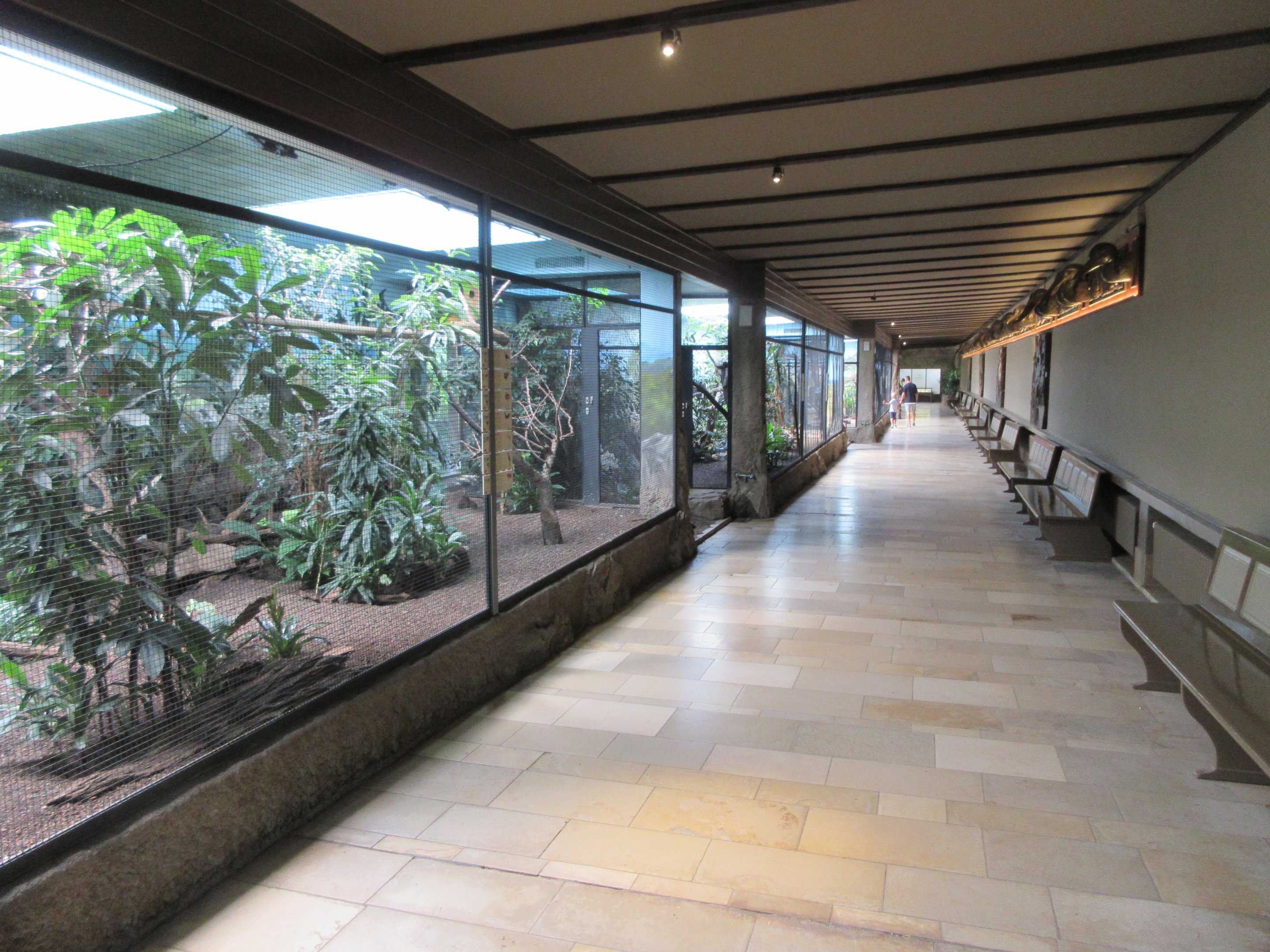 Pheasantry - row of aviaries