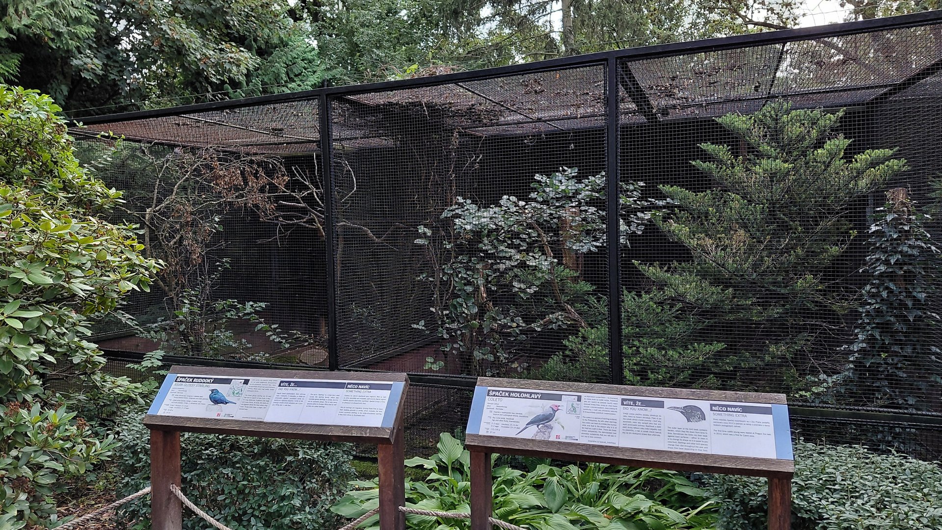 Pheasantry - Starling + Coleto exhibits