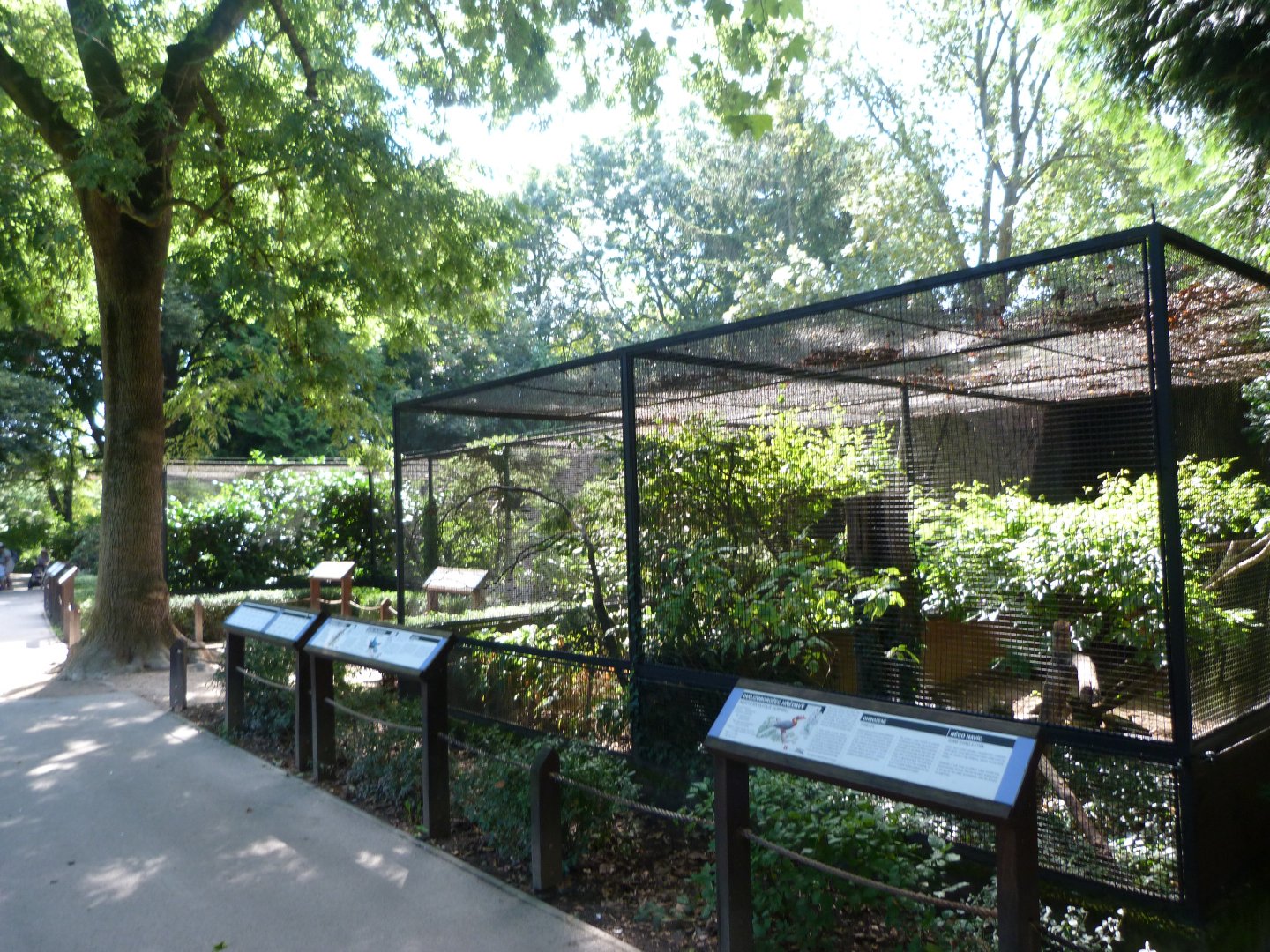 Pheasantry view -Zoo Praha (2025)