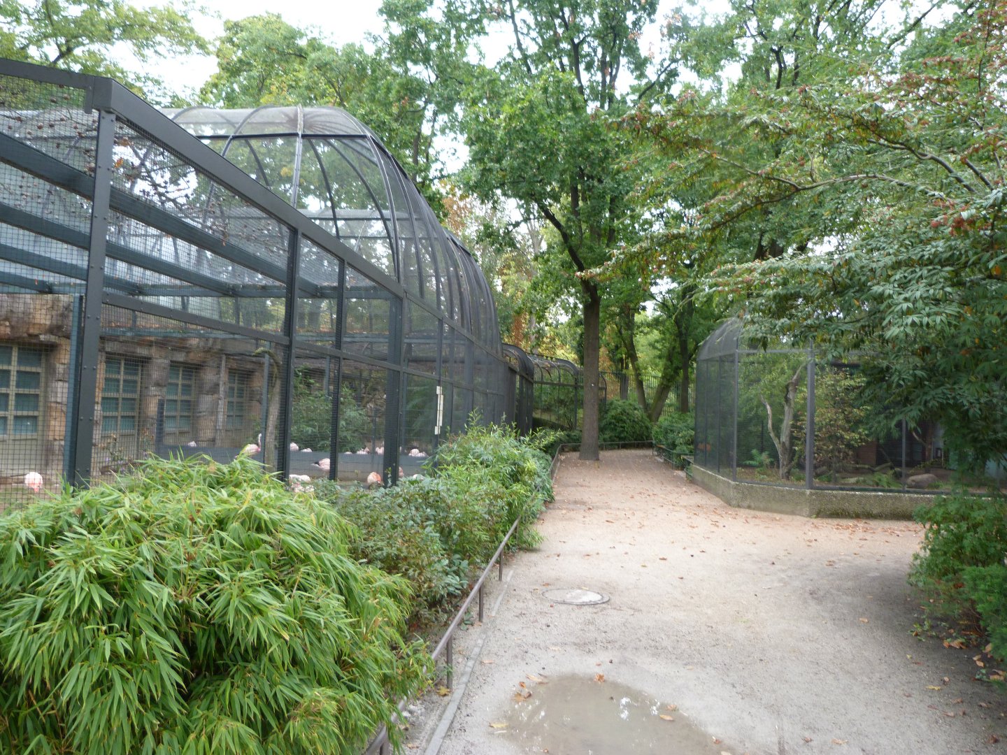 Pheasantry view -Zoologischer Garten Berlin (2024)