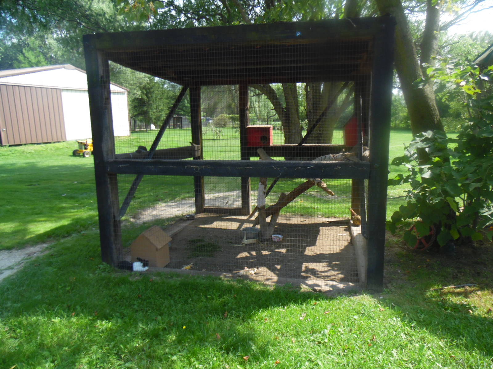 Phesant/Rabbit/Squirrel Exhibit