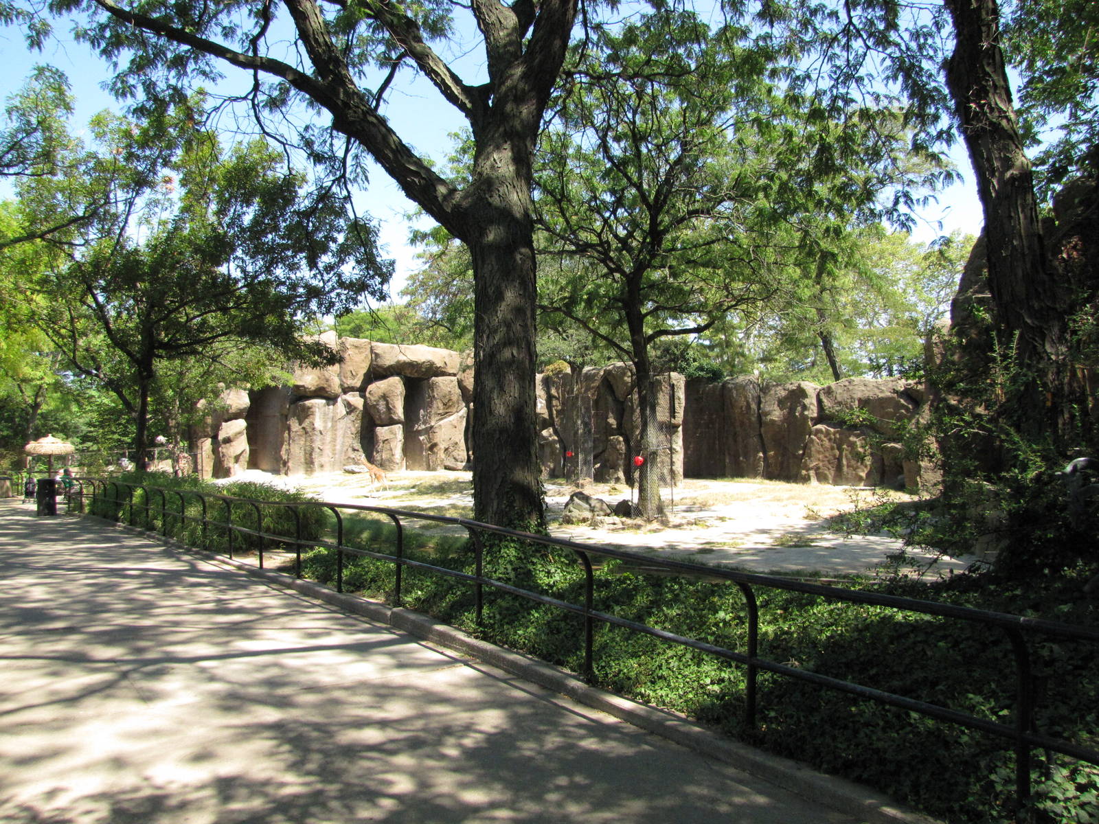 Philadelphia Zoo 2010 - Alongside Giraffe exhibit in African Plains