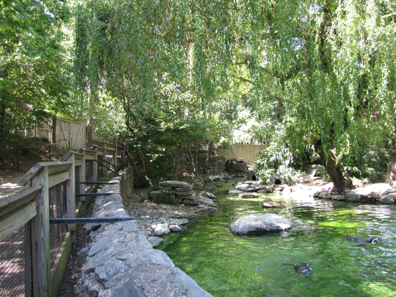 Philadelphia Zoo 2010 - Alongside second Humboldt Penguin exhibit