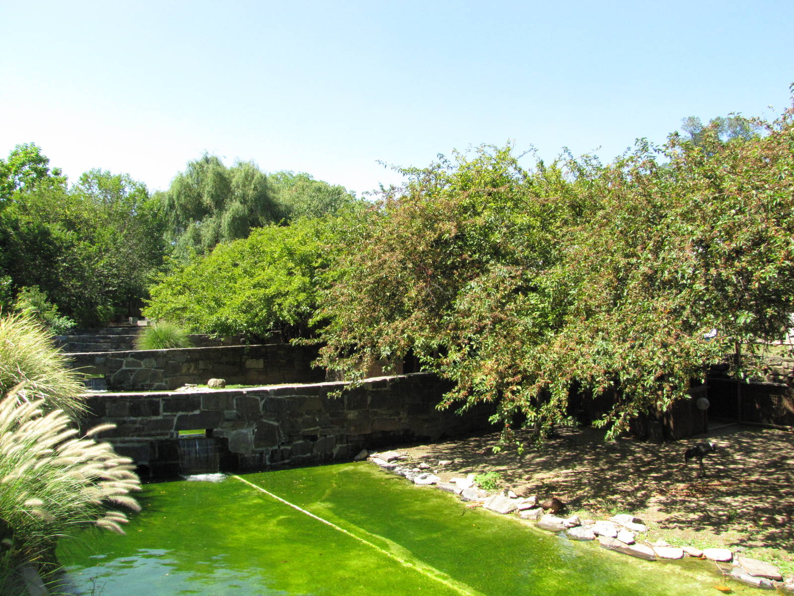 Philadelphia Zoo 2010 - Bird Valley exhibit row