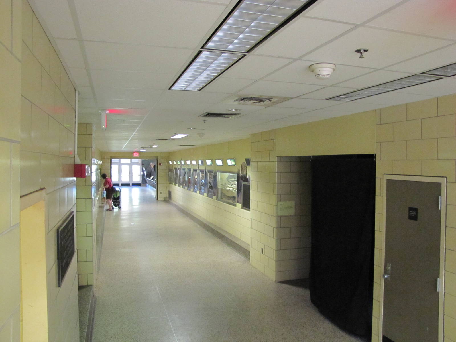 Philadelphia Zoo 2010 - Diurnal wing of Small Mammal House