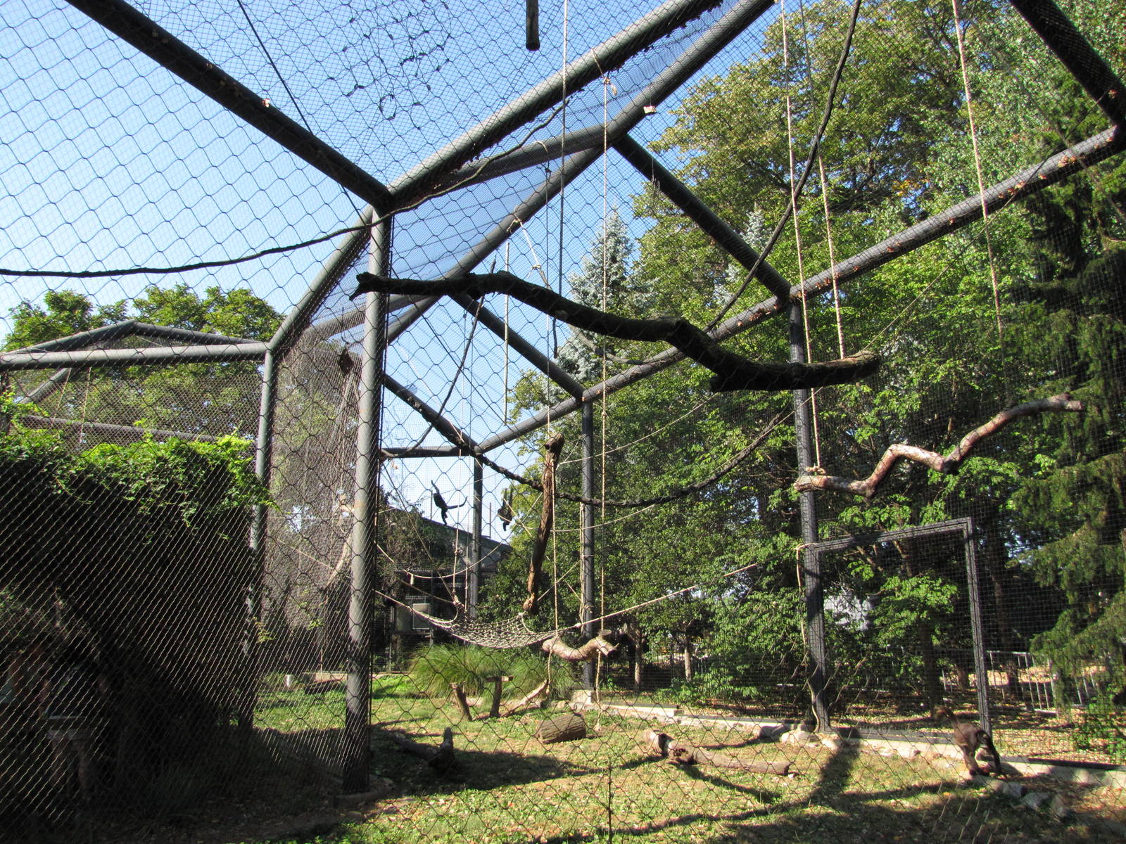 Philadelphia Zoo 2010 - Enclosure for White-bellied and Columbian Black Spi