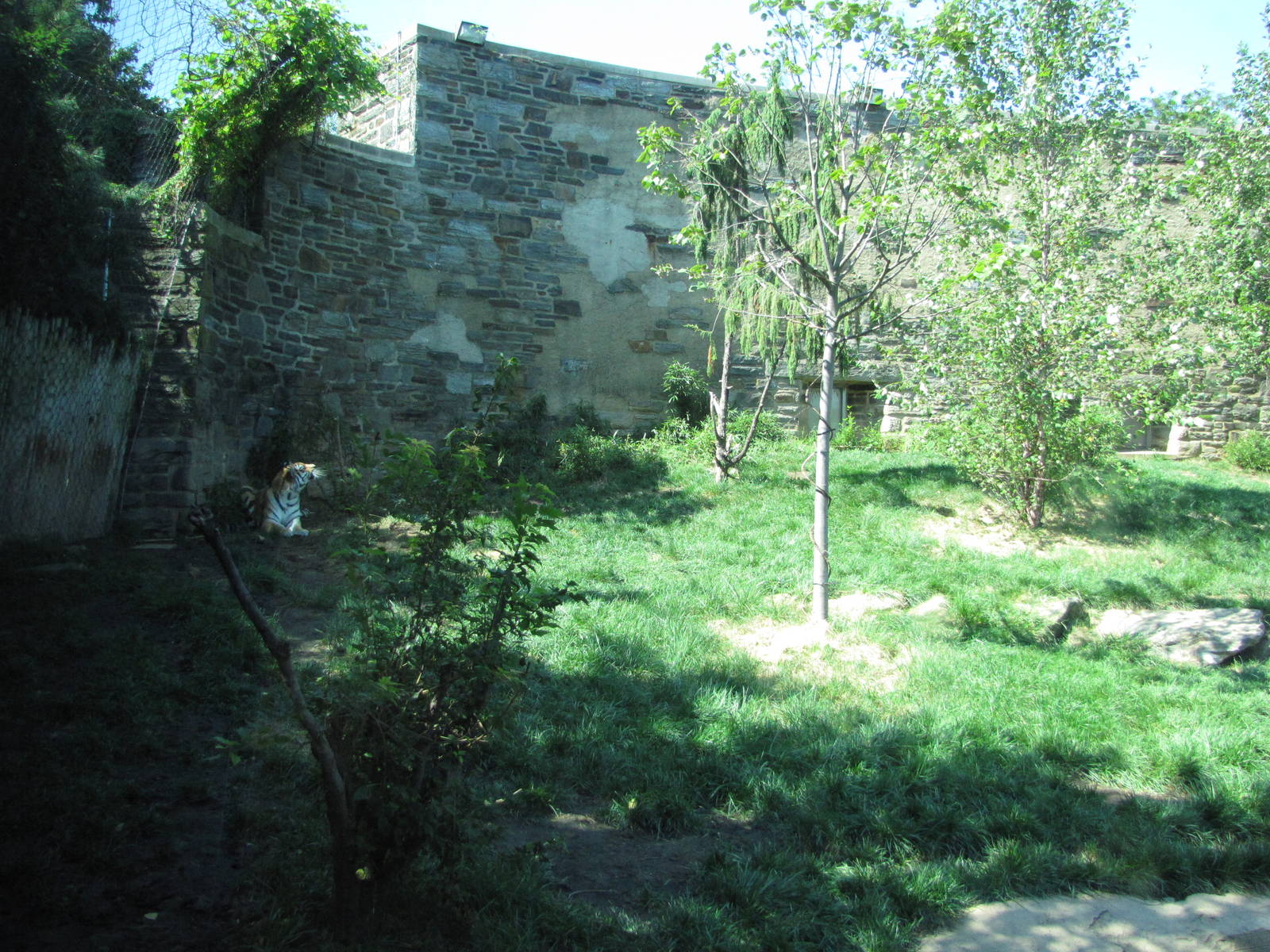 Philadelphia Zoo 2010 - First part of Amur Tiger exhibit in Big Cat Falls