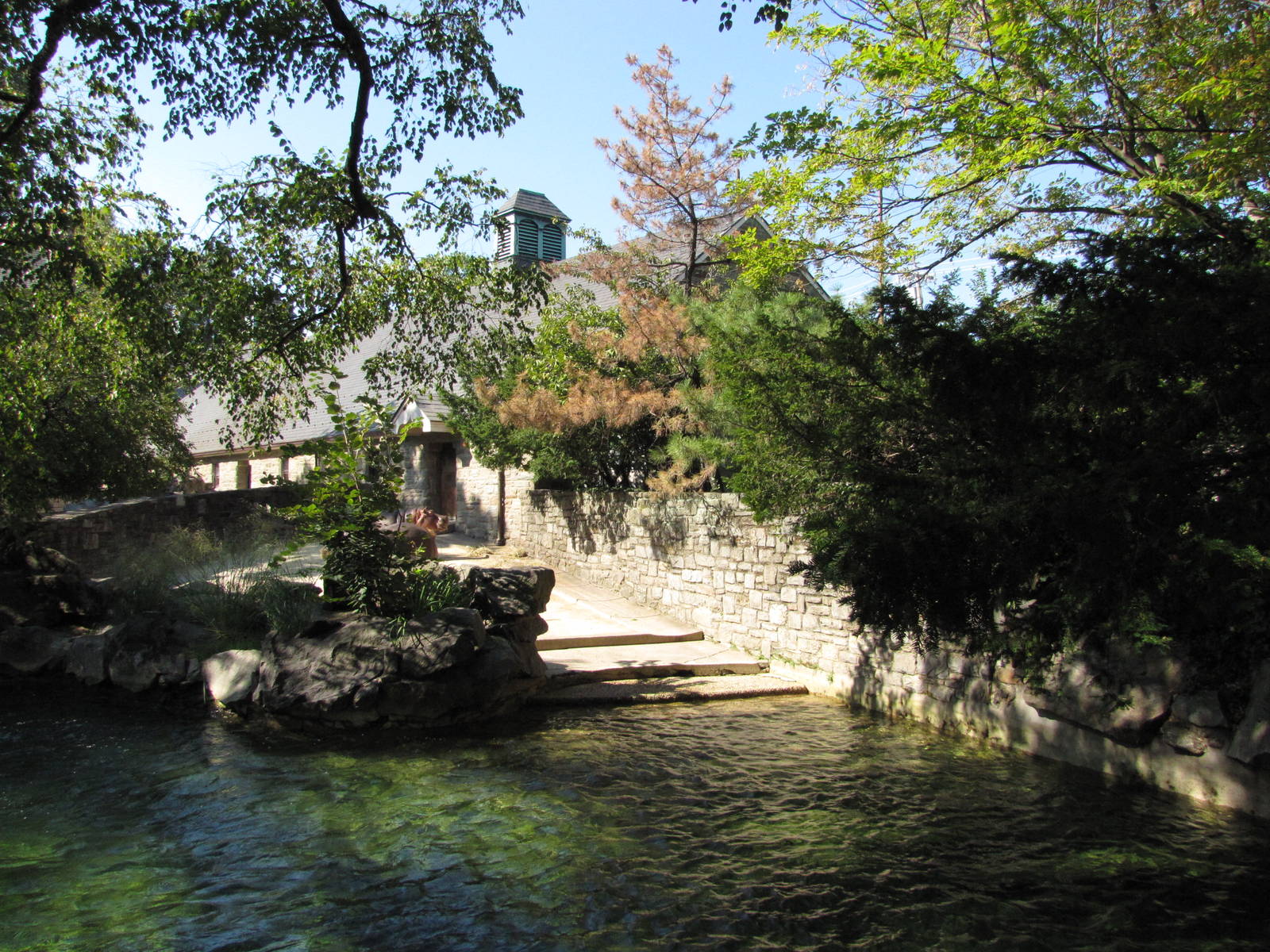 Philadelphia Zoo 2010 - First part of Nile Hippopotamus pool