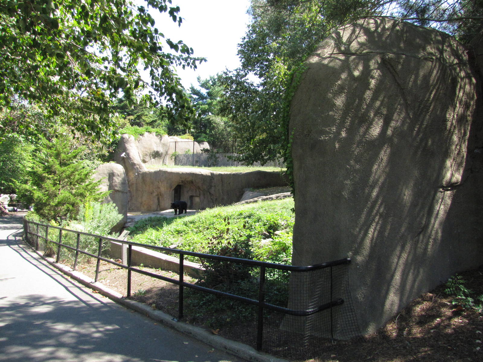 Philadelphia Zoo 2010 - Front of Asiatic Black Bear exhibit