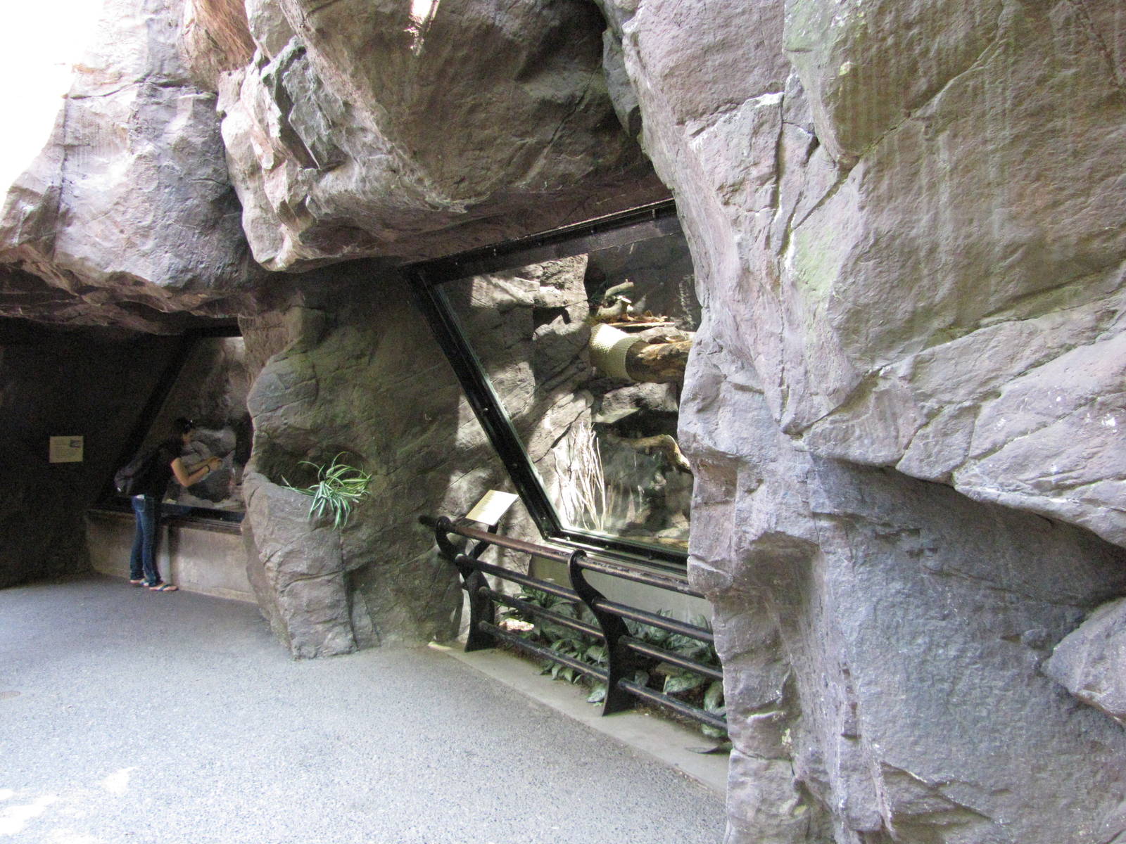 Philadelphia Zoo 2010 - Front of Fishing Cat and Dwarf Caiman exhibits in C