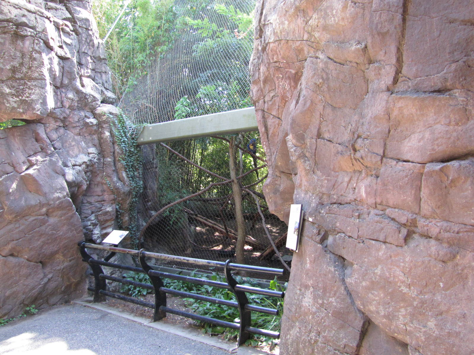 Philadelphia Zoo 2010 - Front of Hyacinth Macaw exhibit in Carnivore Kingdo