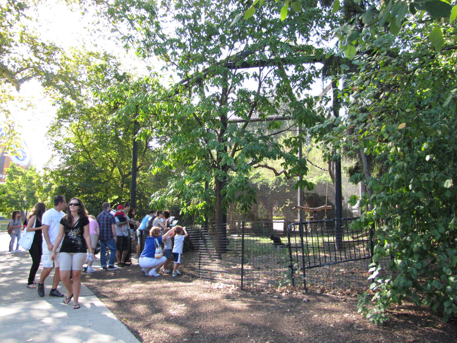 Philadelphia Zoo 2010 - Front of mixed Spider Monkey enclosure