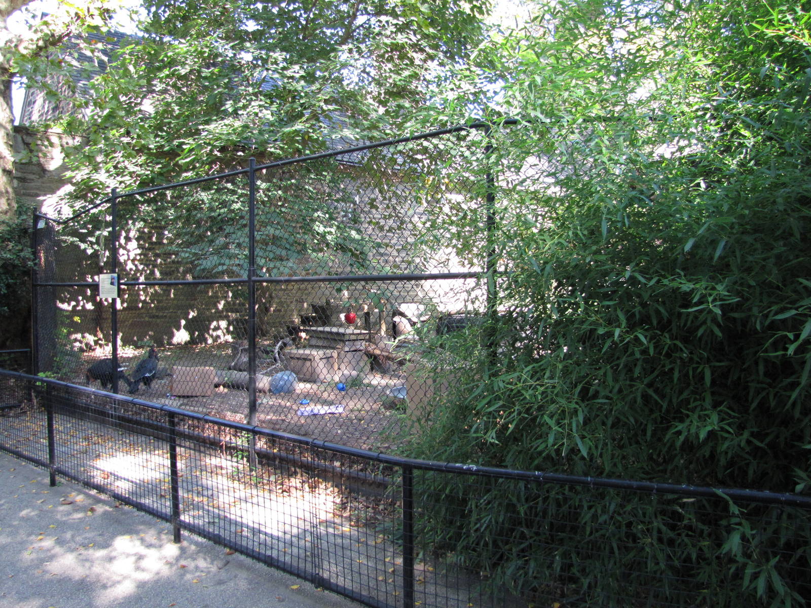 Philadelphia Zoo 2010 - Front of Southern Ground Hornbill enclosure
