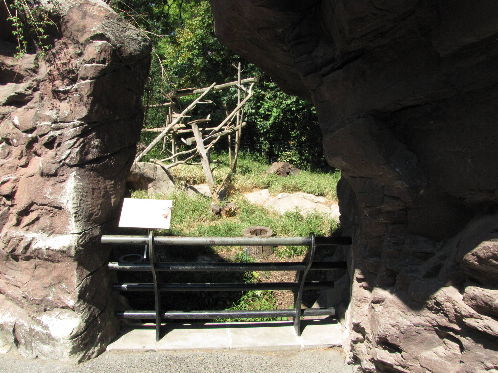 Philadelphia Zoo 2010 - Front of White-nosed Coati exhibit in Carnivore Kin