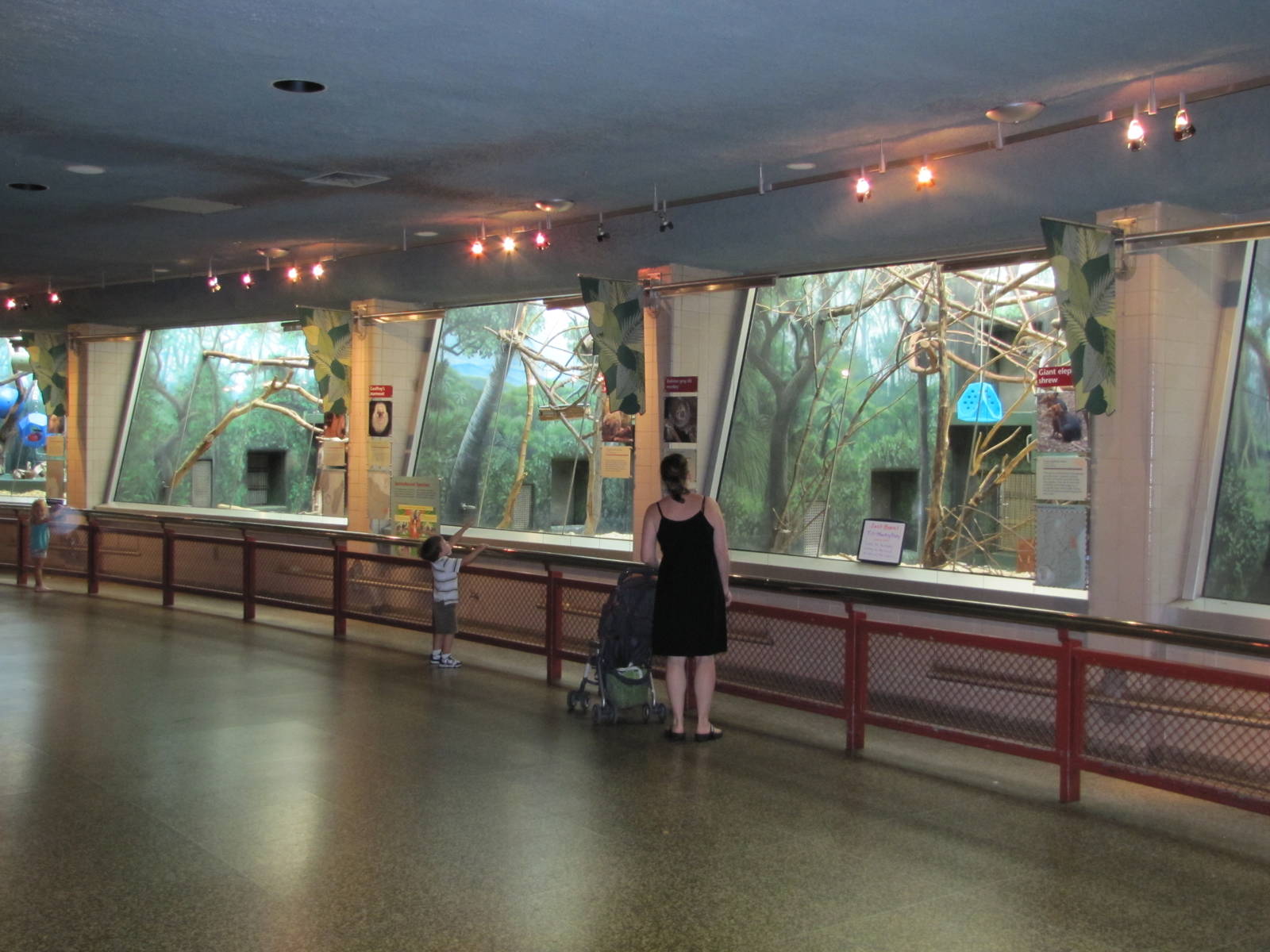 Philadelphia Zoo 2010 - General view in Rare Animal Conservation Center