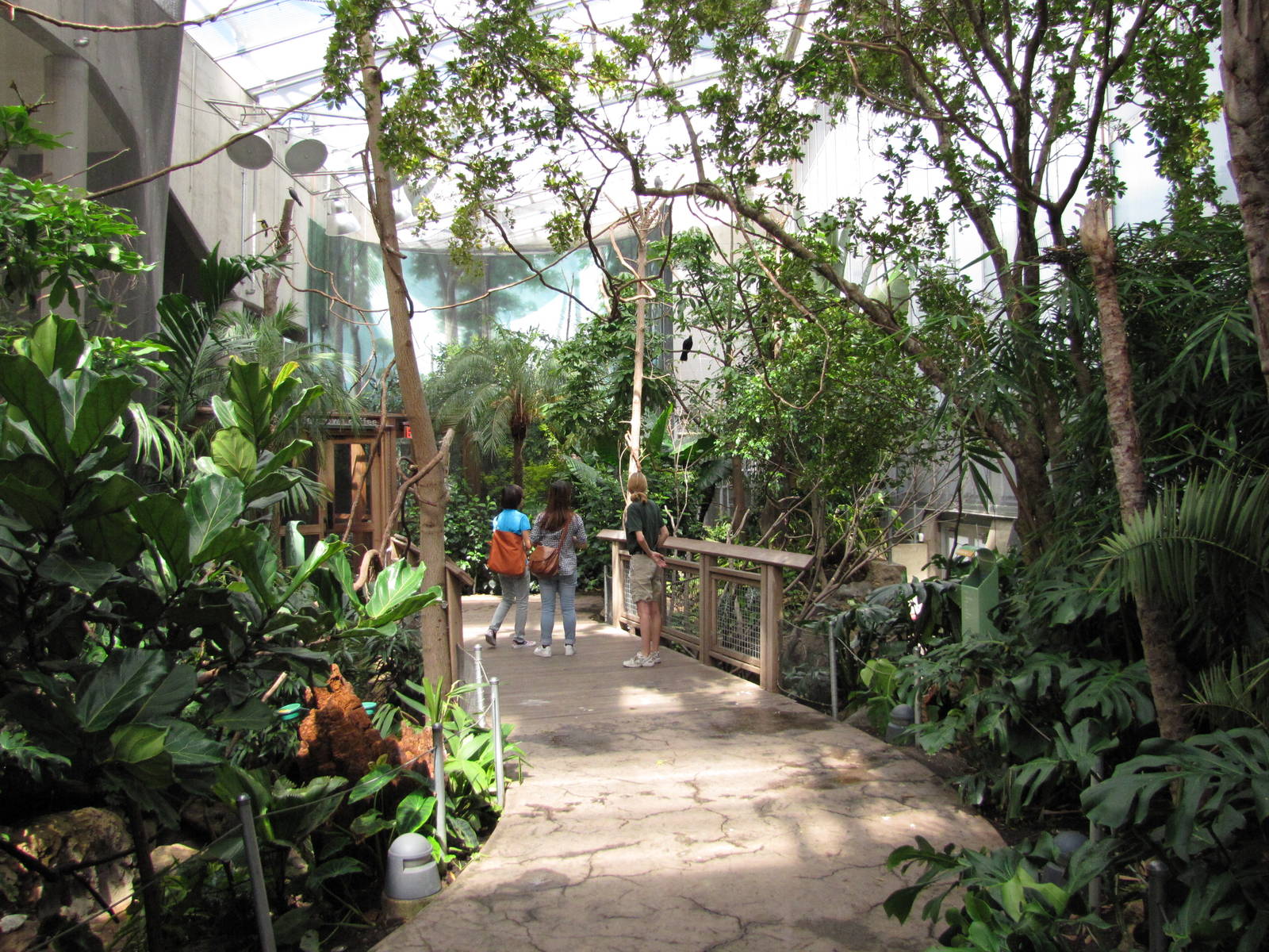 Philadelphia Zoo 2010 - General view inside McNeil Avian Center