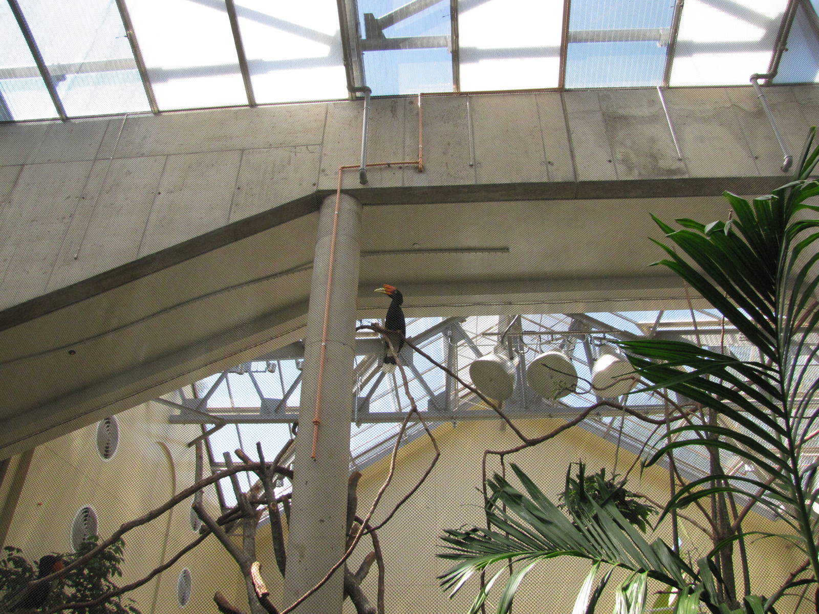 Philadelphia Zoo 2010 - General view inside McNeil Avian Center