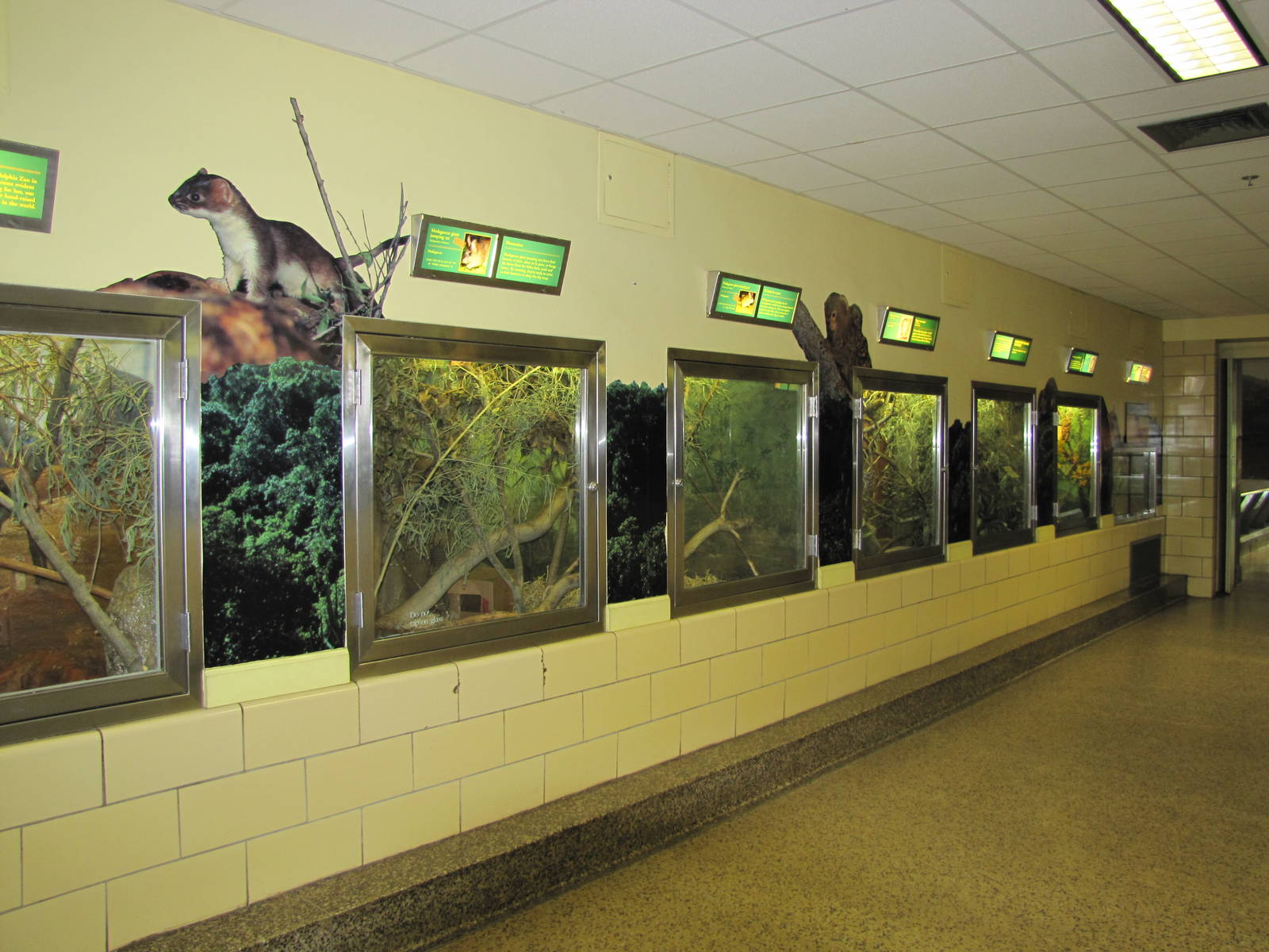 Philadelphia Zoo 2010 - General view inside Small Mammal House