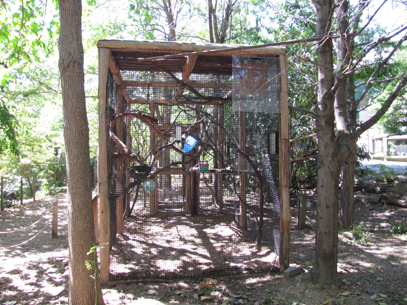 Philadelphia Zoo 2010 - Golden Lion Tamarin enclosure