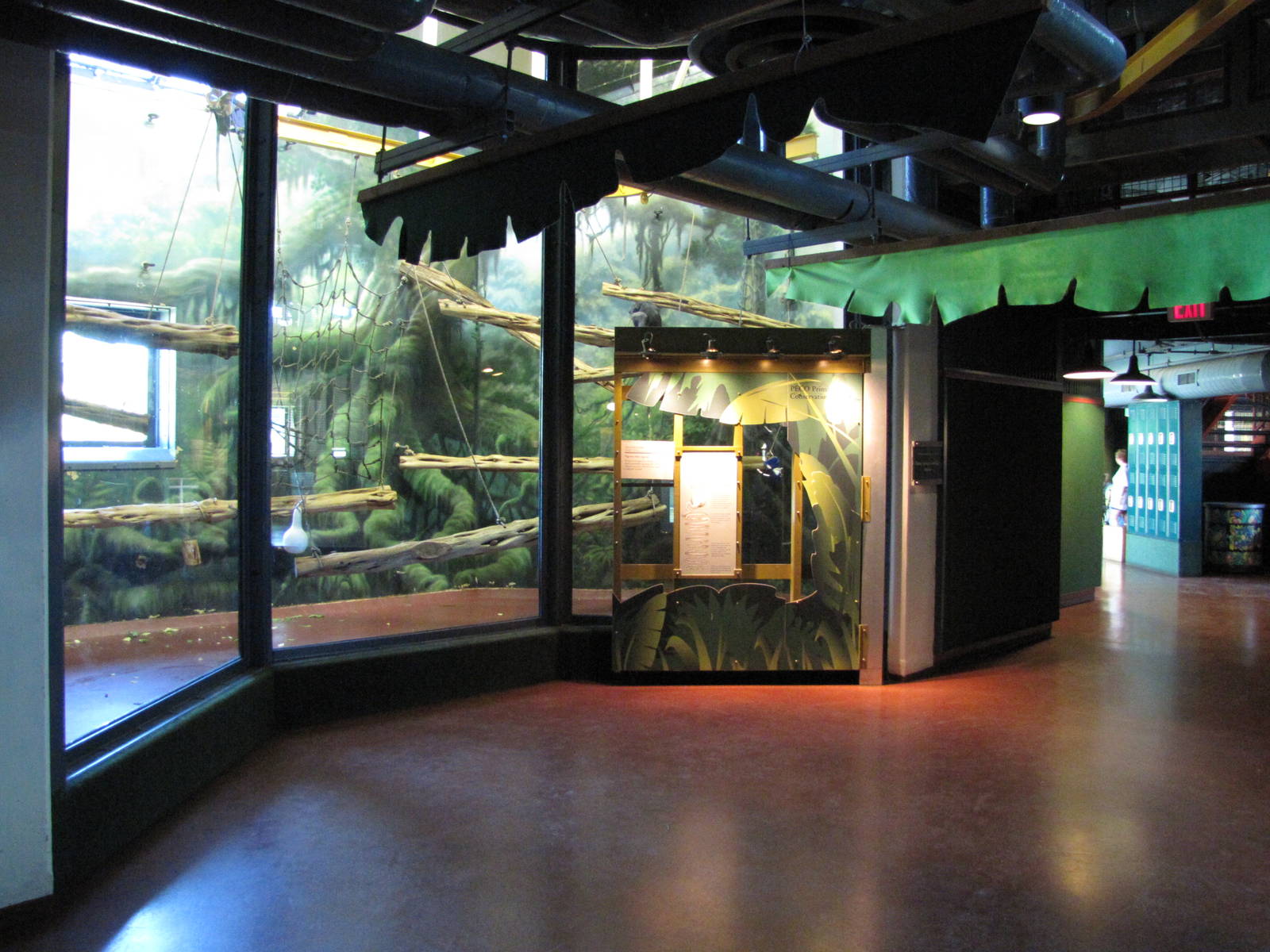 Philadelphia Zoo 2010 - Inside the PECO Primate Reserve