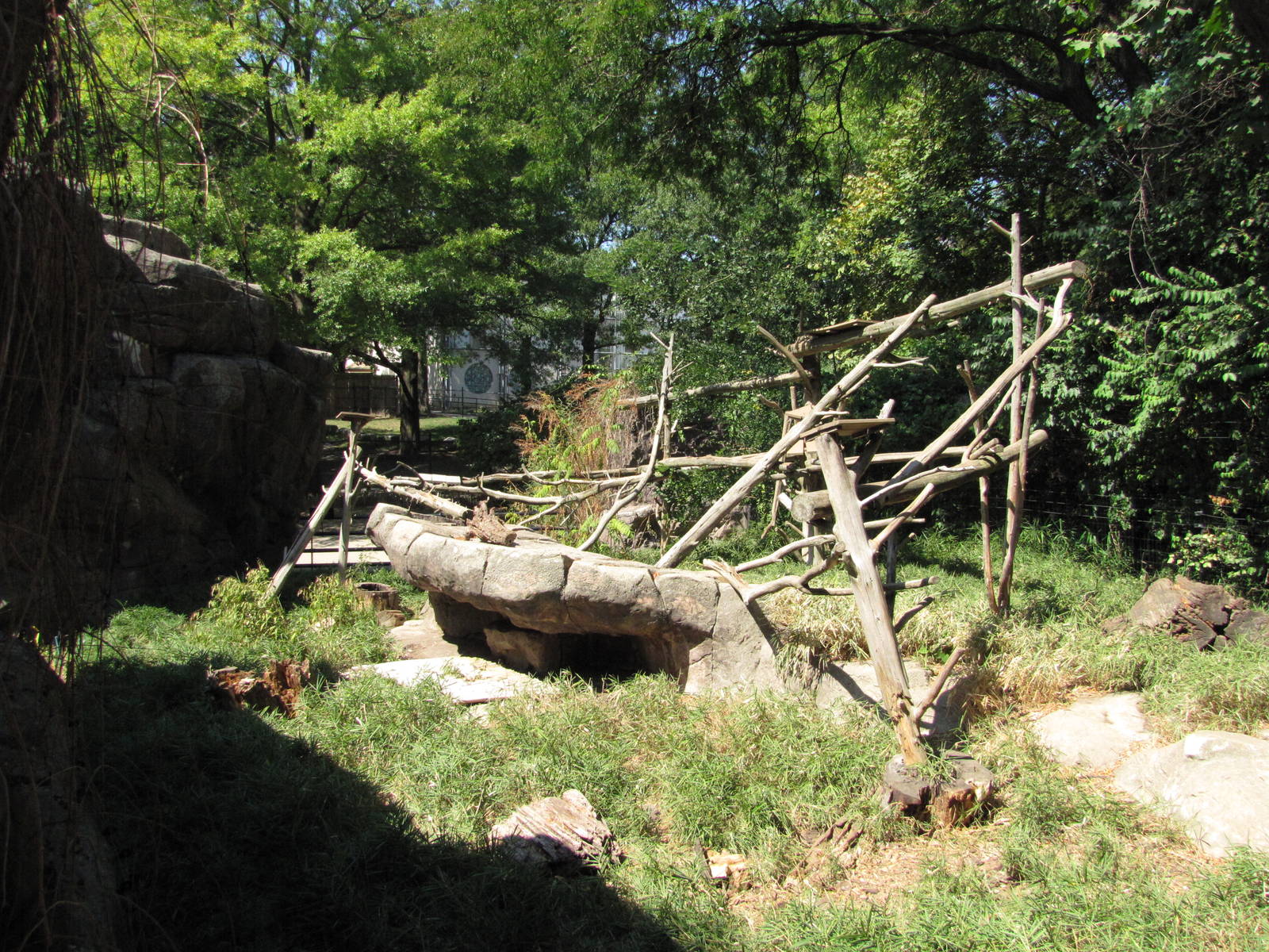 Philadelphia Zoo 2010 - Inside White-nosed Coati exhibit in Carnivore Kingd