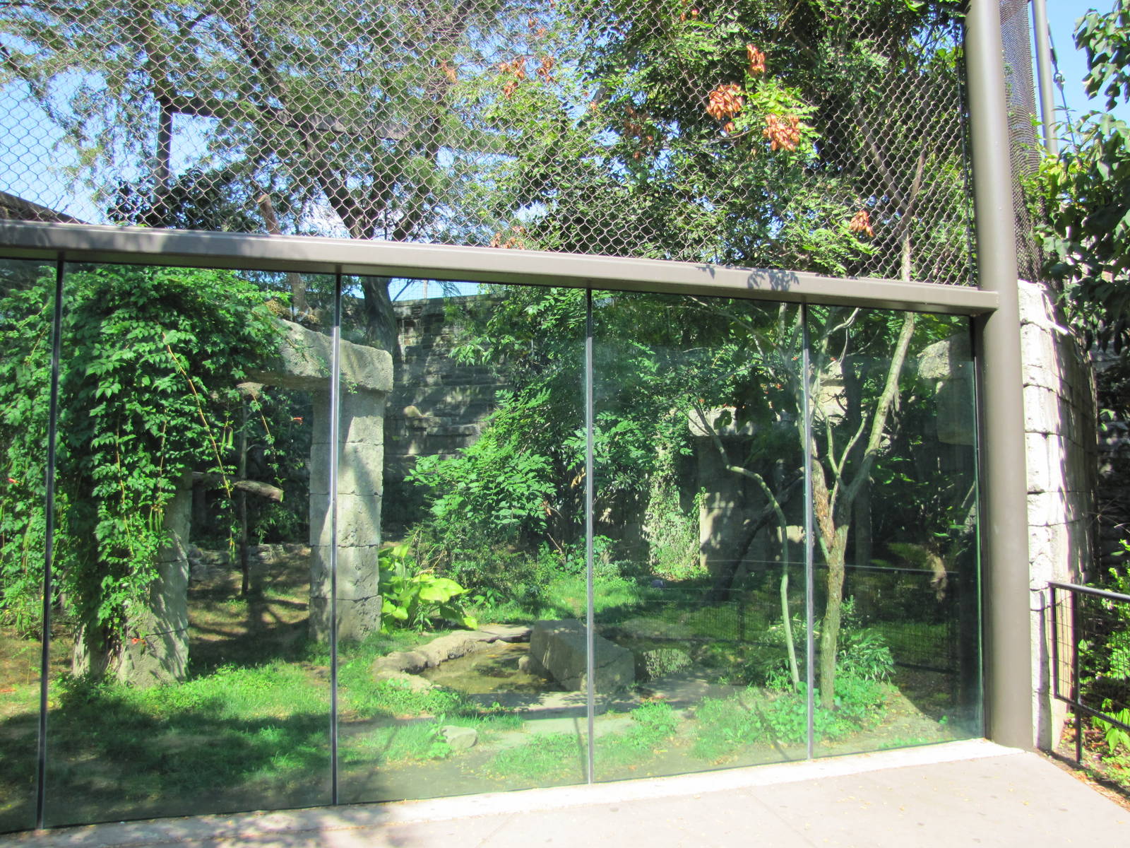 Philadelphia Zoo 2010 - Jaguar exhibit in Big Cat Falls