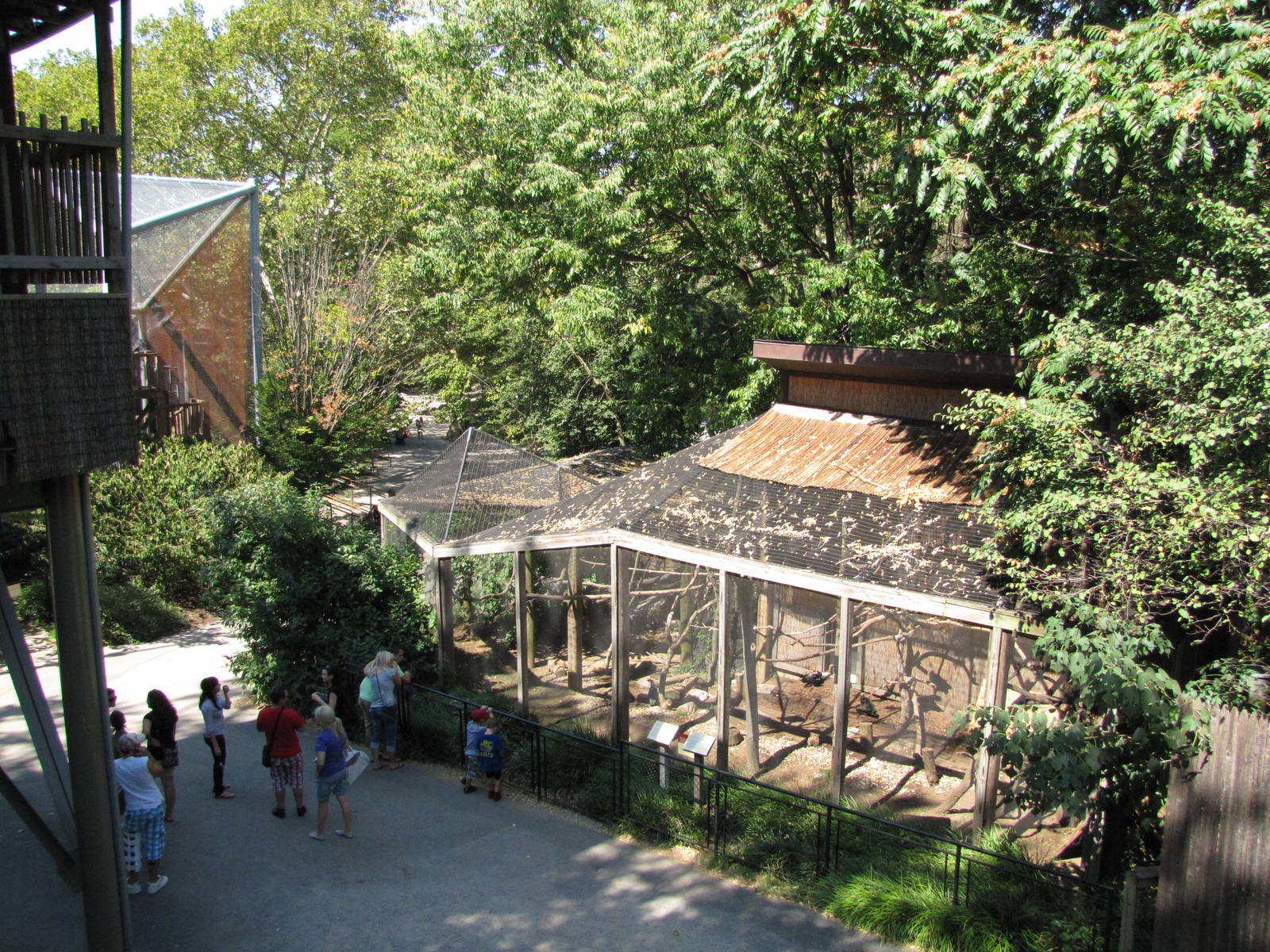 Philadelphia Zoo 2010 - Looking down on the Scarlet Ibis enclosure