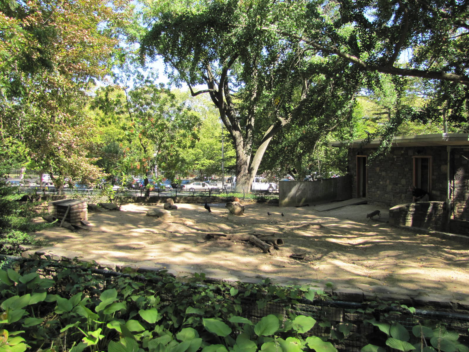 Philadelphia Zoo 2010 - Mara and Capybara exhibit