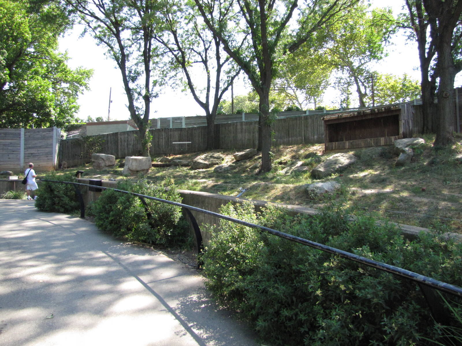 Philadelphia Zoo 2010 - Most of Cheetah exhibit