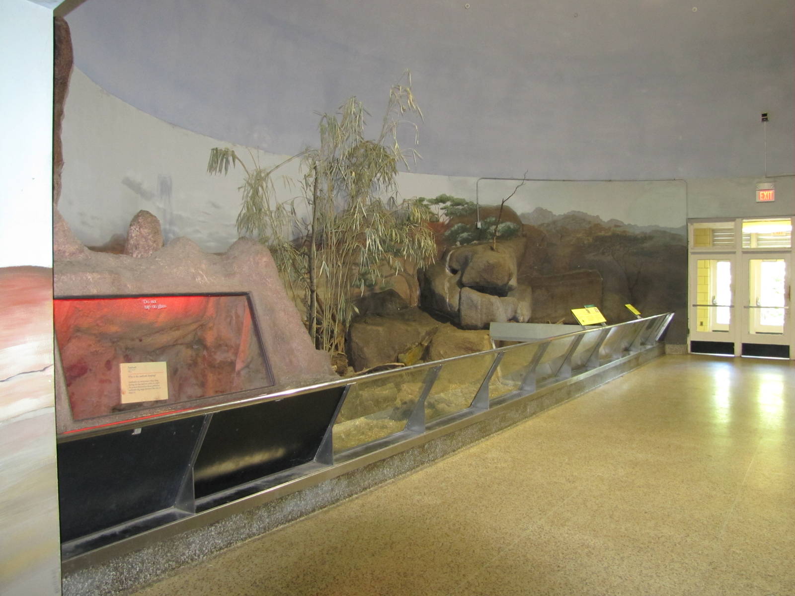 Philadelphia Zoo 2010 - Open exhibit for Aardvark and Meerkat