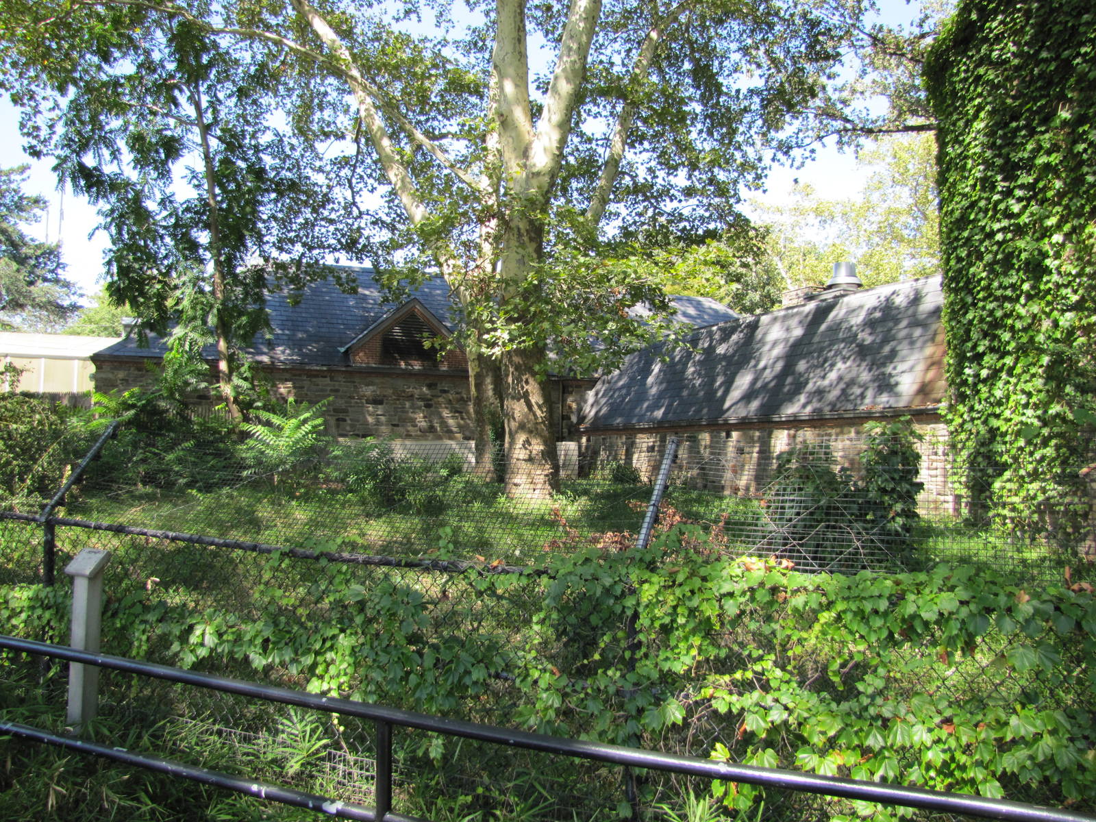 Philadelphia Zoo 2010 - Overgrown former exhibit behind the Small Mammal Ho