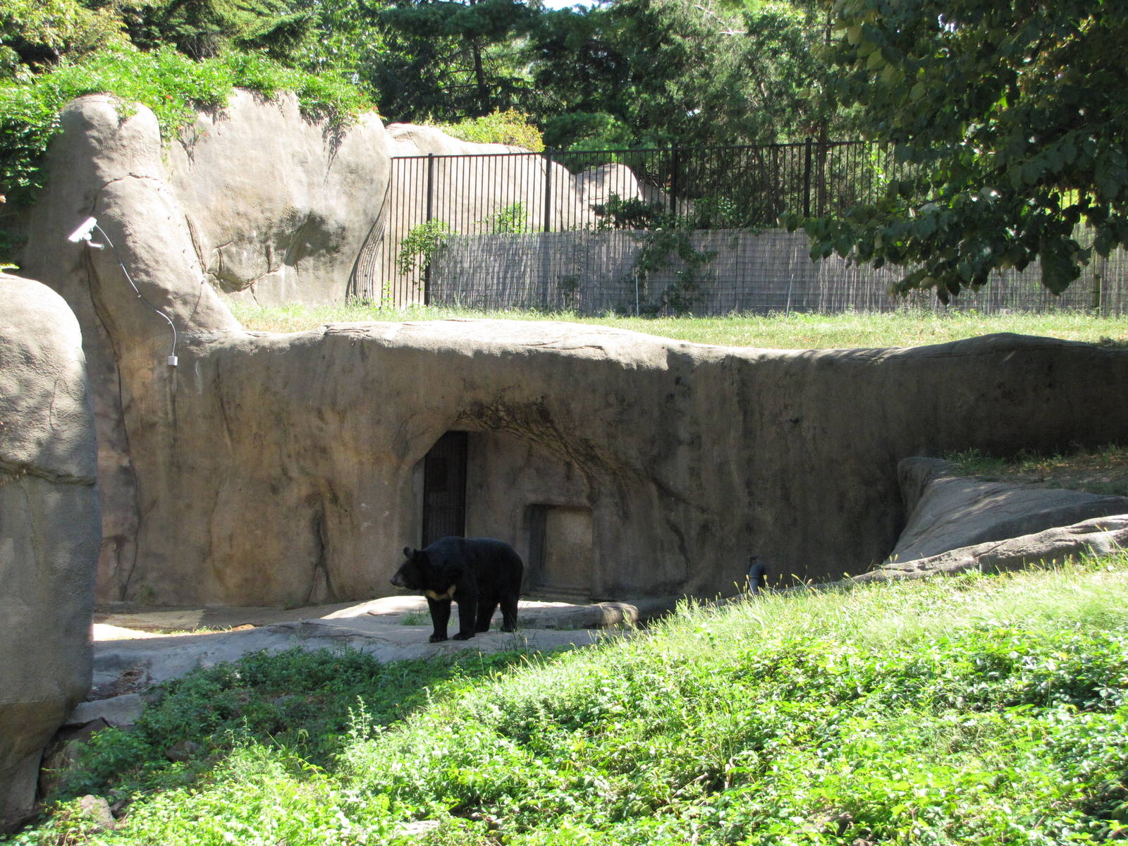 Philadelphia Zoo 2010 - Part of Asiatic Black Bear exhibit