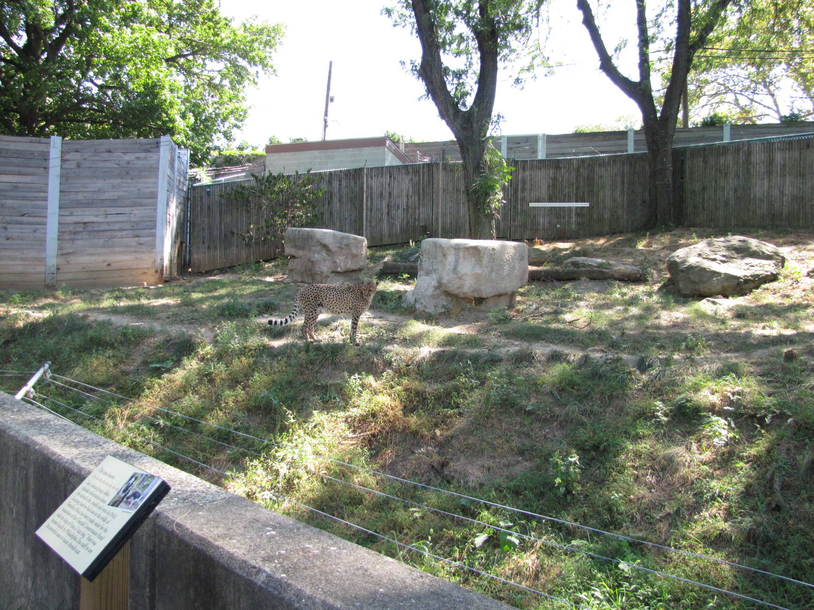 Philadelphia Zoo 2010 - Part of Cheetah exhibit