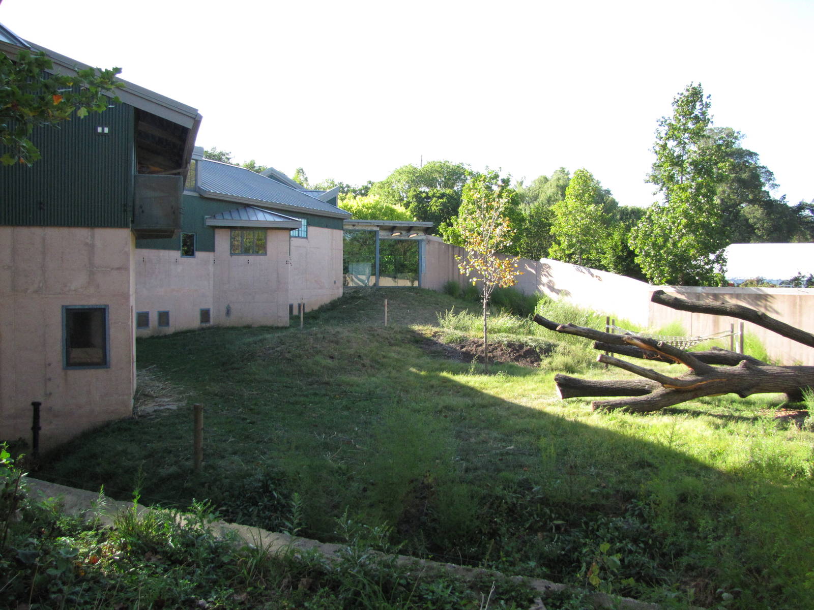 Philadelphia Zoo 2010 - Part of Gorilla exhibit in PECO Primate Reserve