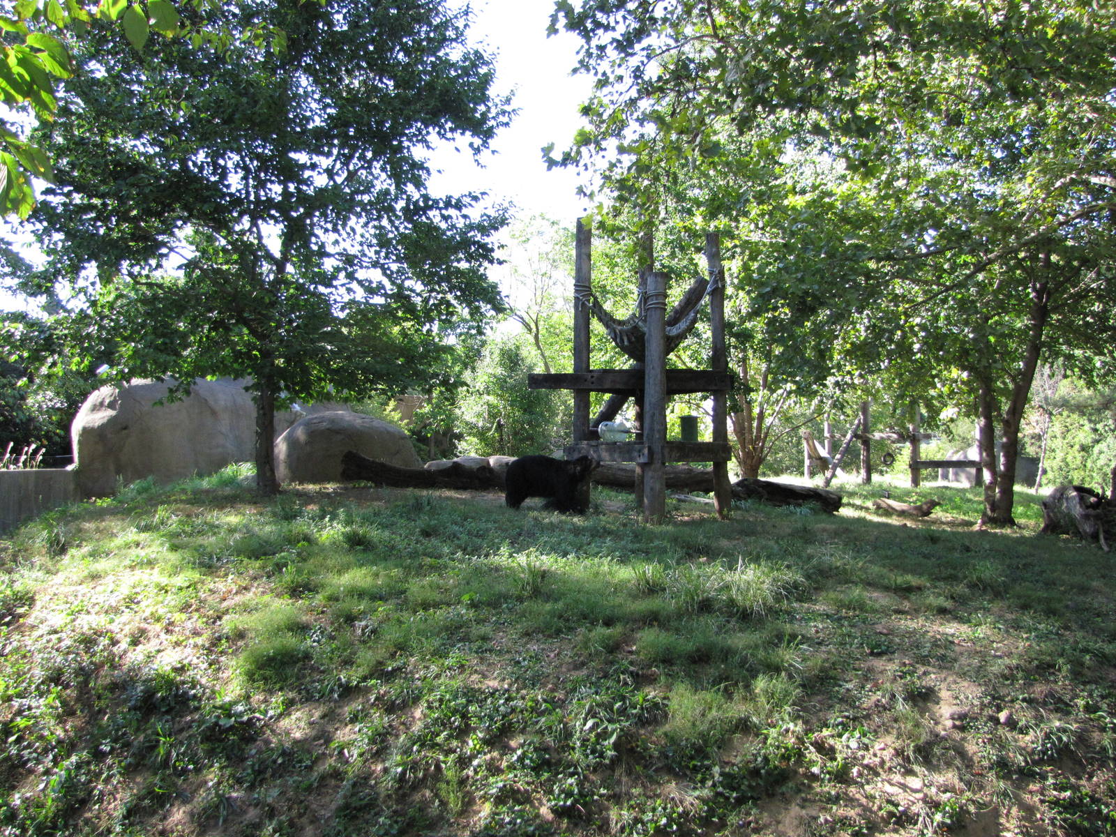 Philadelphia Zoo 2010 - Part of Spectacled Bear exhibit