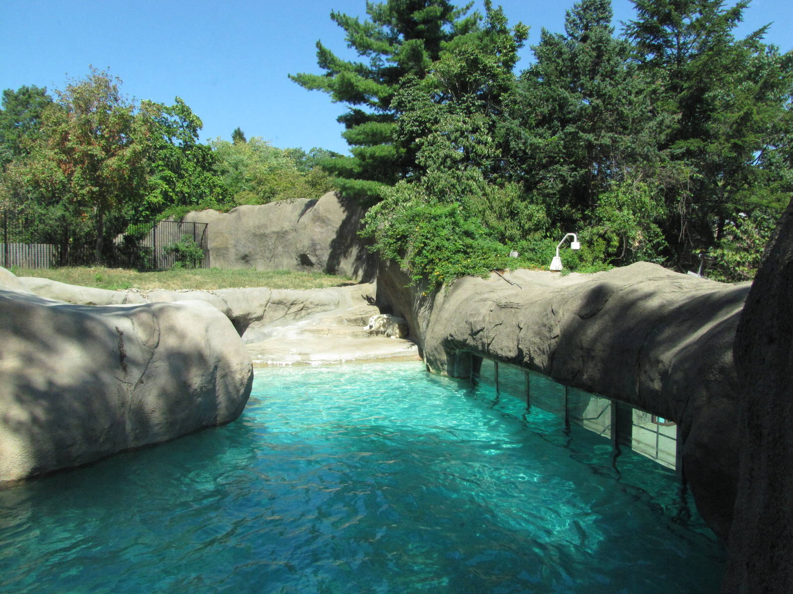 Philadelphia Zoo 2010 - Part of very nice Polar Bear exhibit