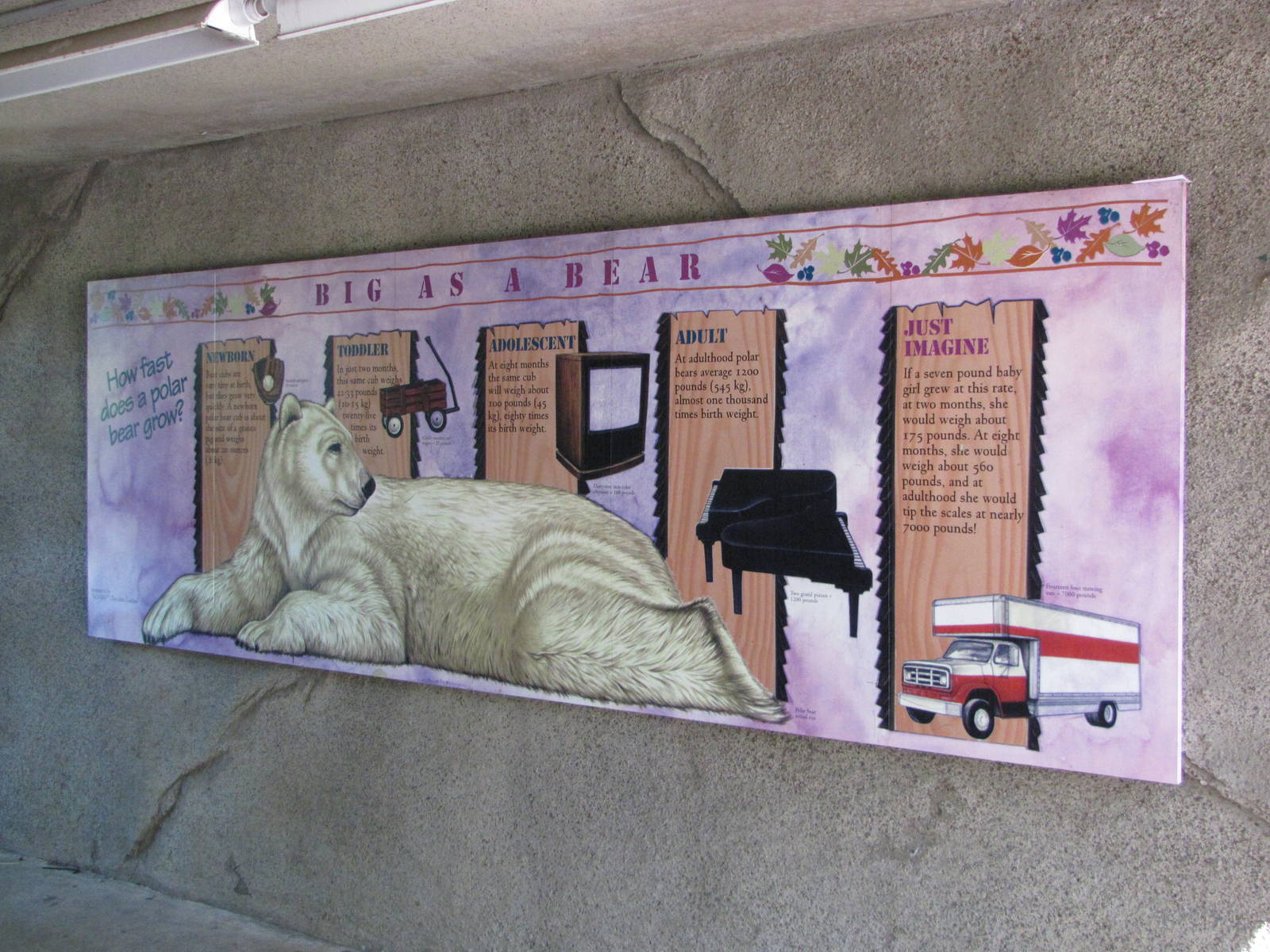 Philadelphia Zoo 2010 - Polar Bear exhibit signage